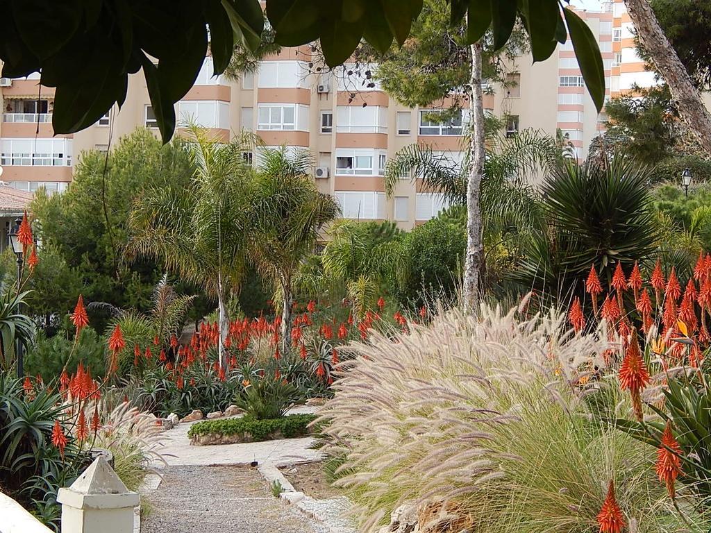 La Corbeta Apartment Torrox Phòng bức ảnh